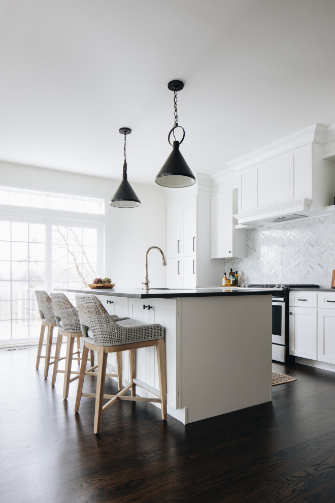 Kitchen - transitional kitchen idea in Chicago