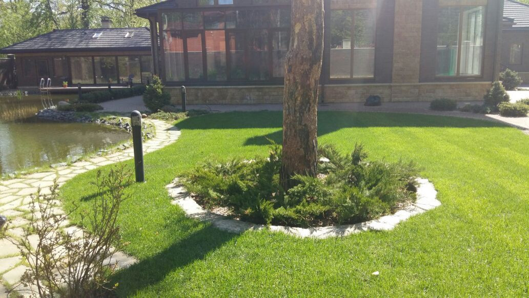 Оформление приствольных кругов