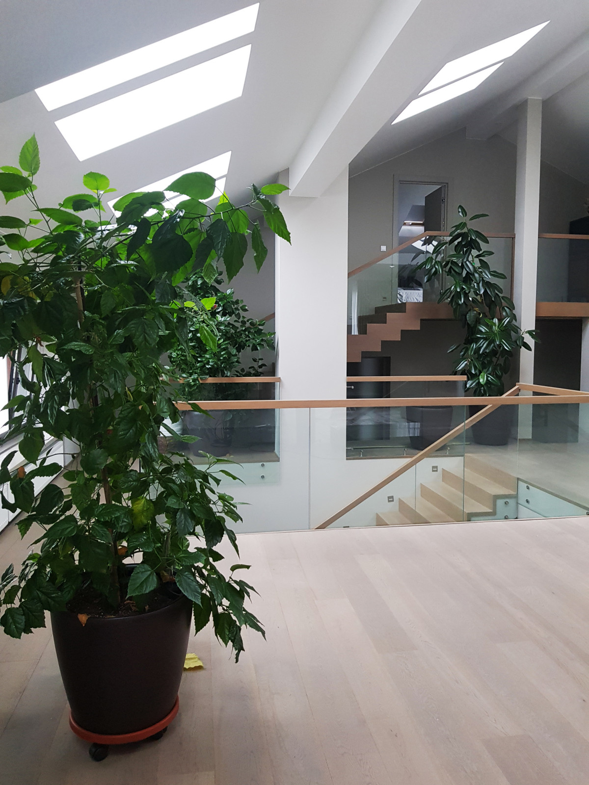 Дом в Александровке