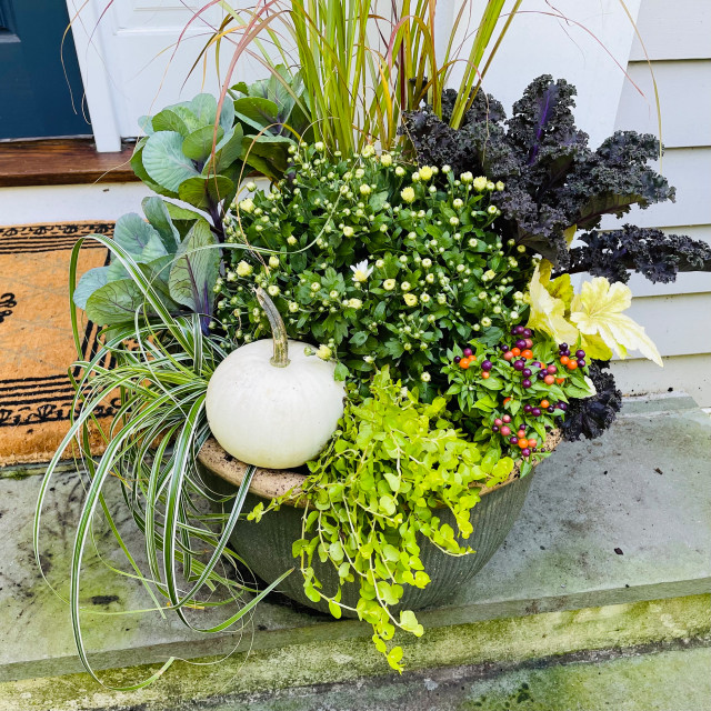 12 Fresh Fall Container Designs for Your Home and Garden