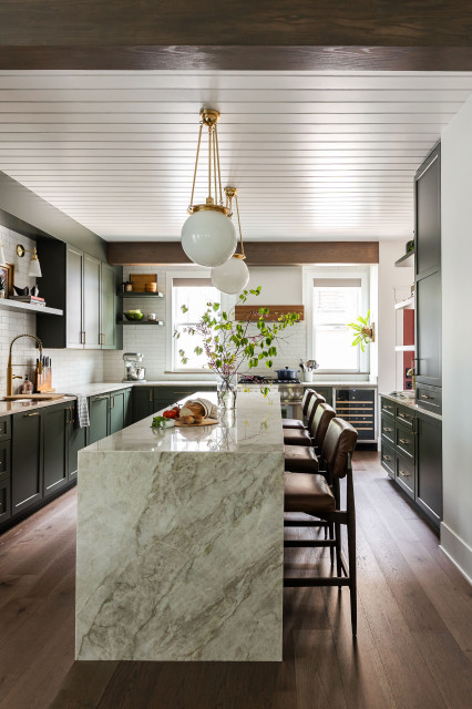 Phoenix Rising in Chicago transitional-kitchen