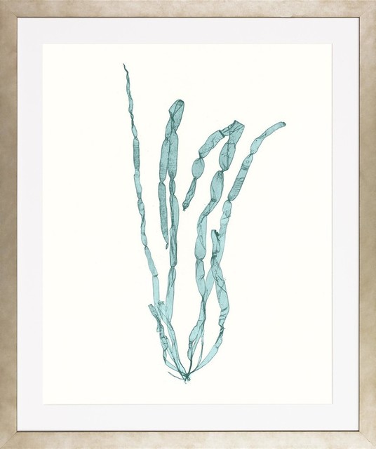 Blue Seaweeds, Medium Framed Art Print, 25"x29.75"