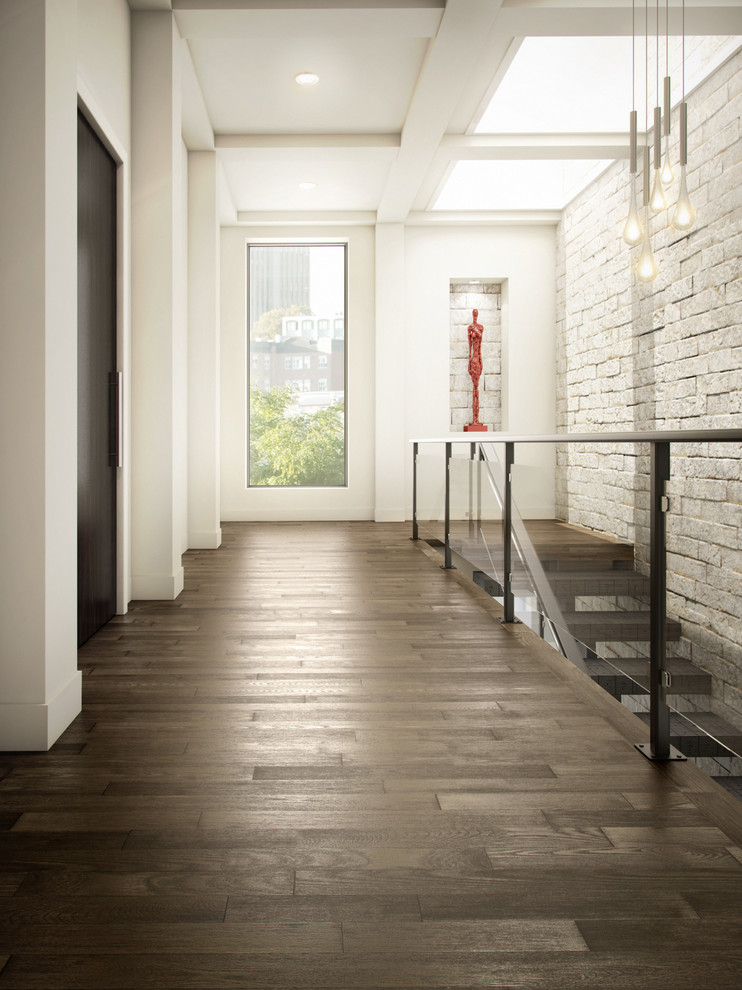 Hallway - large contemporary dark wood floor and brown floor hallway idea in Other with white walls