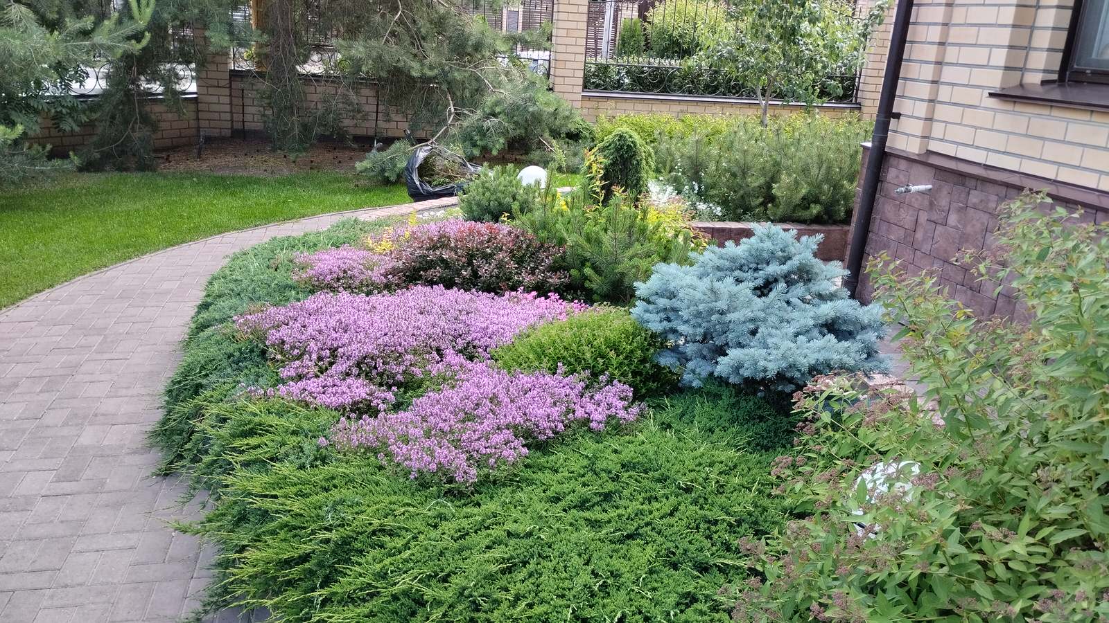 Сиреневый дождь