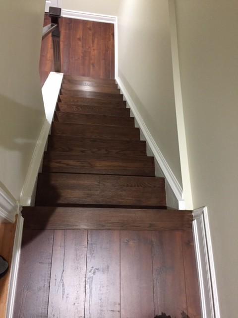 Basement Renovation - Mississauga, ON January 2017 - Before & After