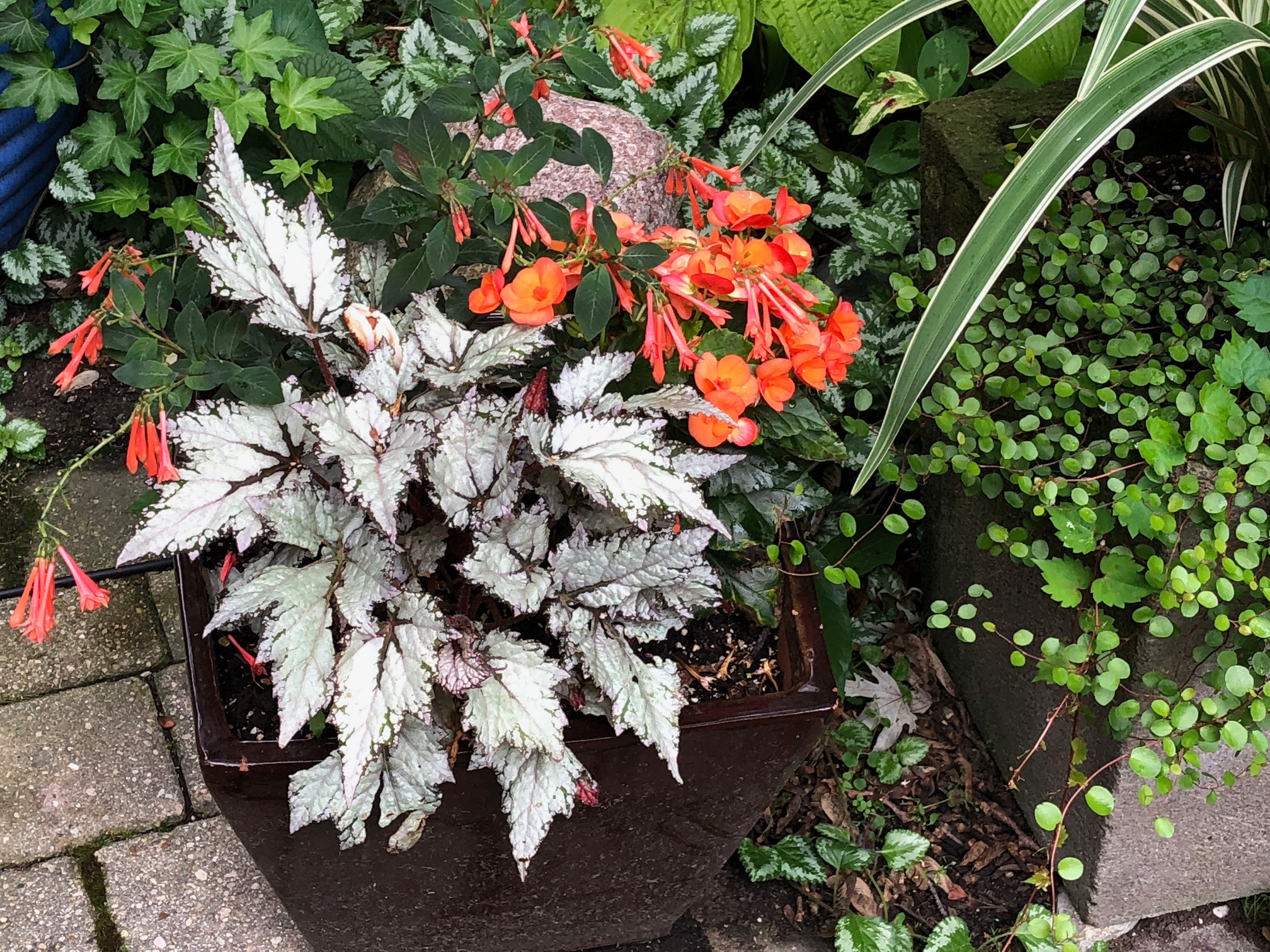 Shade Containers