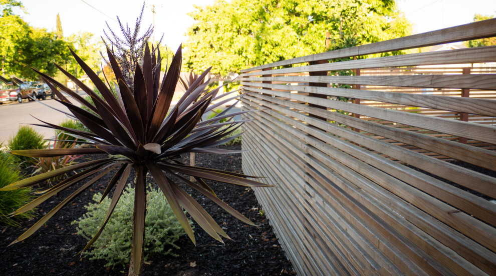 Photo of a large contemporary drought-tolerant and privacy front yard wood fence landscaping in San Francisco.
