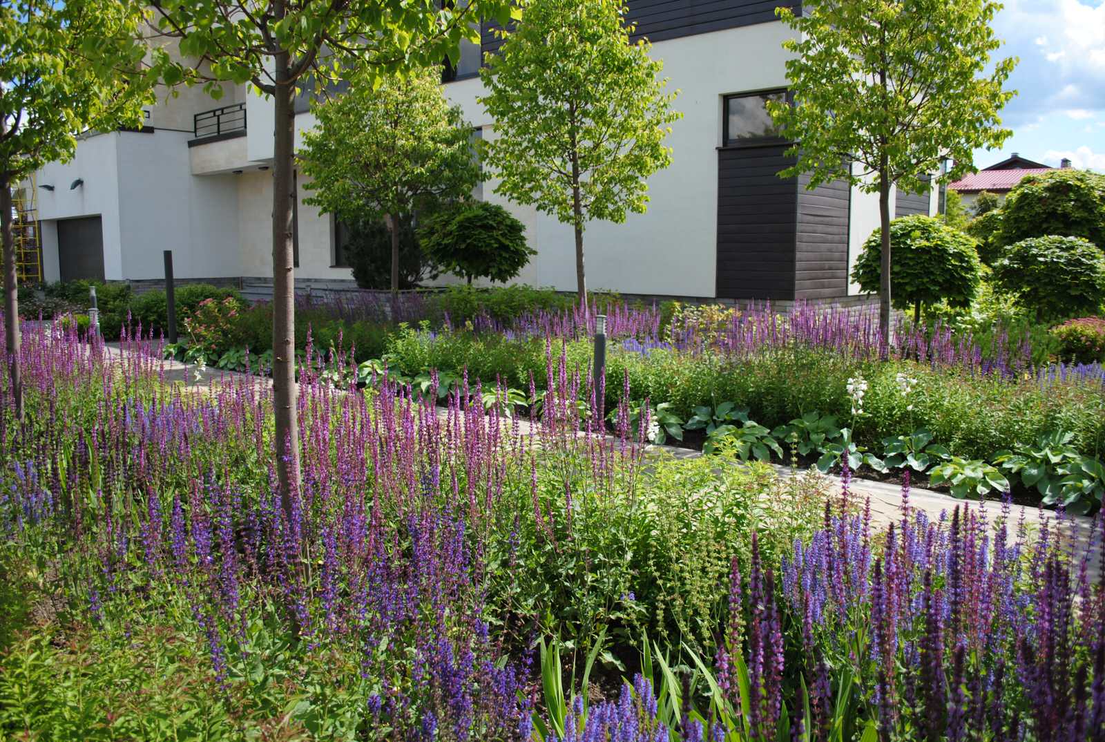 Дмитровское шоссе