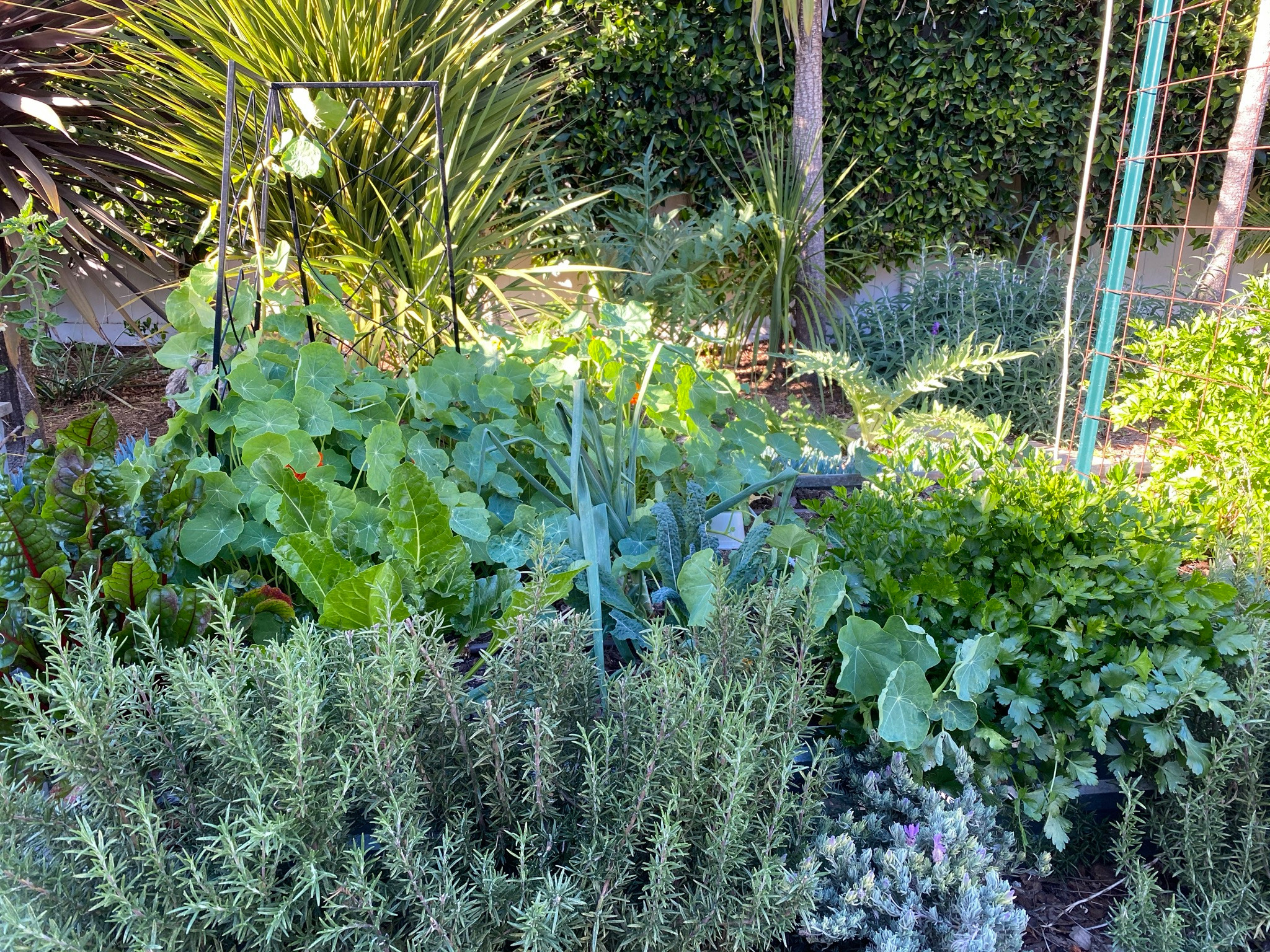 Rustic Kitchen Garden