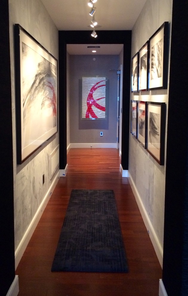 This is an example of a contemporary hallway in Austin.