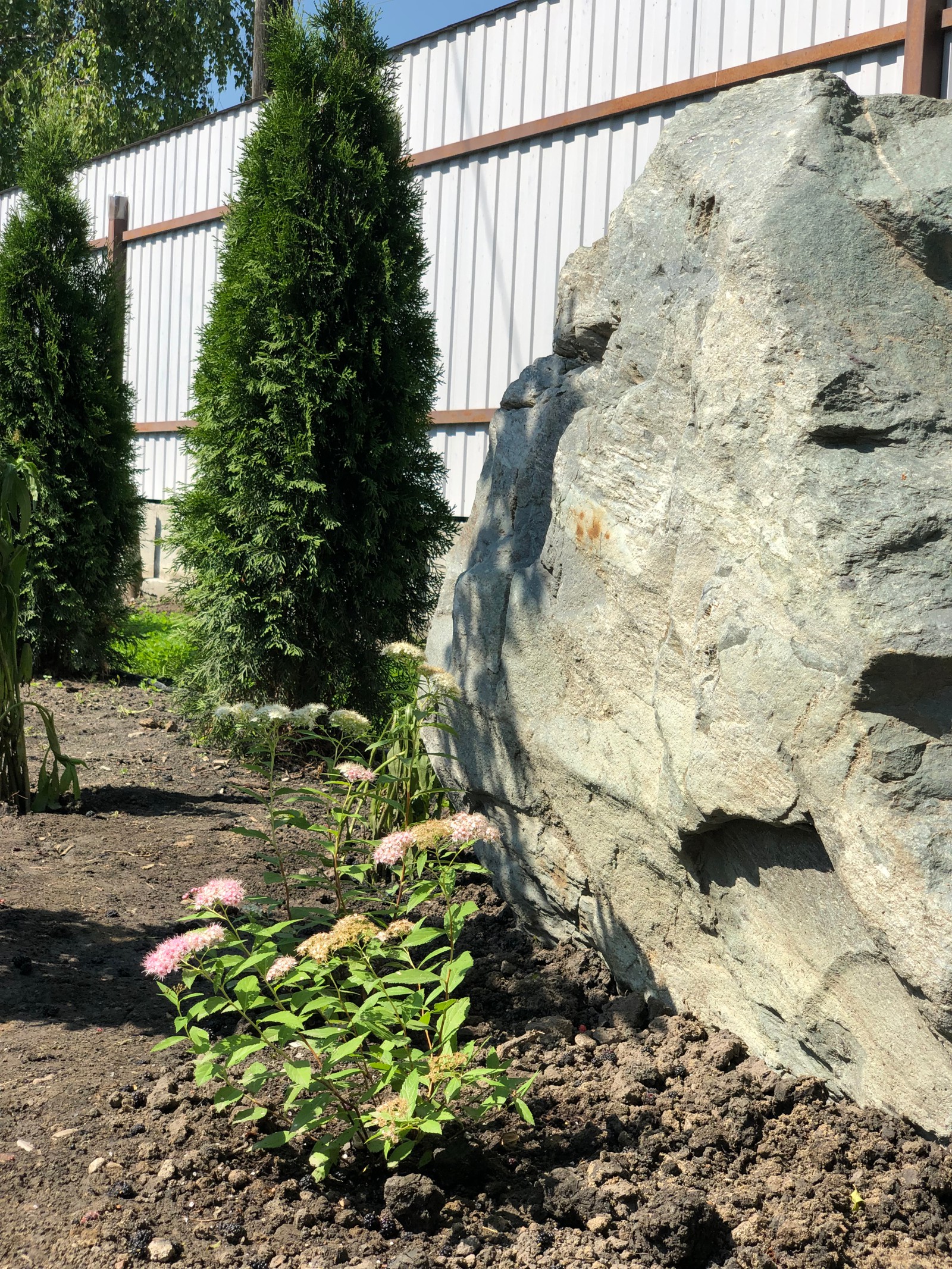 Привет, станица!