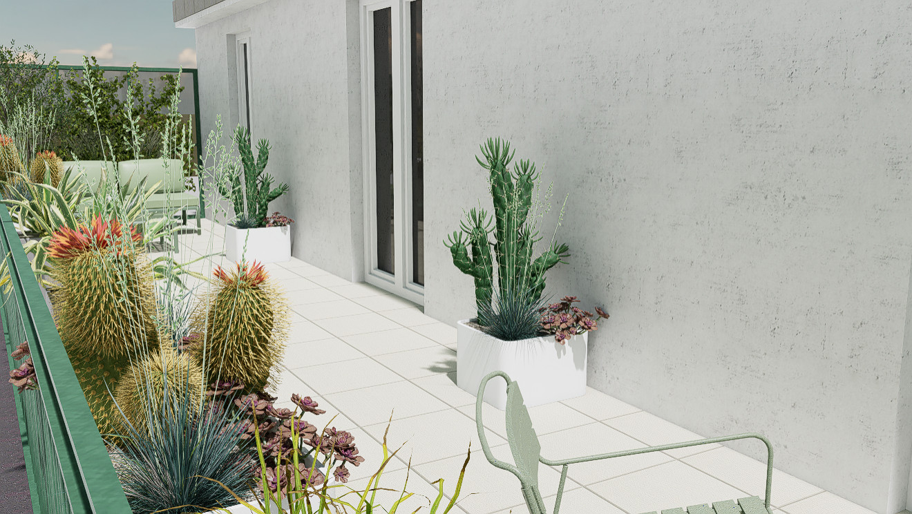 Urban succulents: suggestioni desertiche