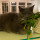 Last commented by fancyapplesauce