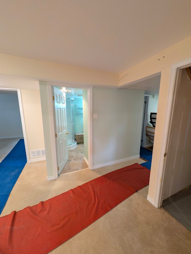 Basement Design+Build - Painting