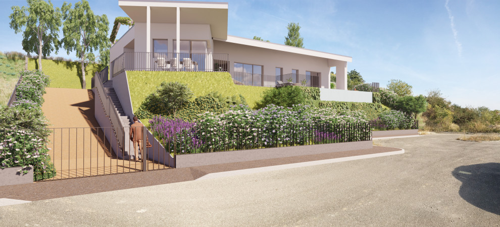 Ispirazione per la villa grande beige contemporanea a un piano con tetto piano, copertura verde, terreno in pendenza e tetto grigio