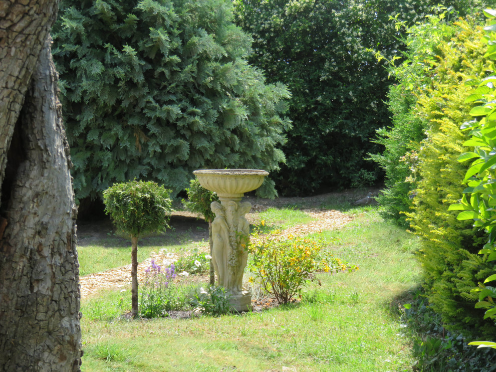 Back Garden, Newmarket
