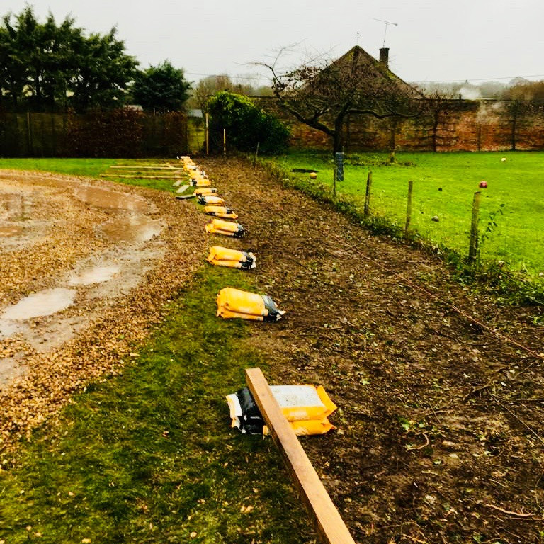 Garden Screening Ideas