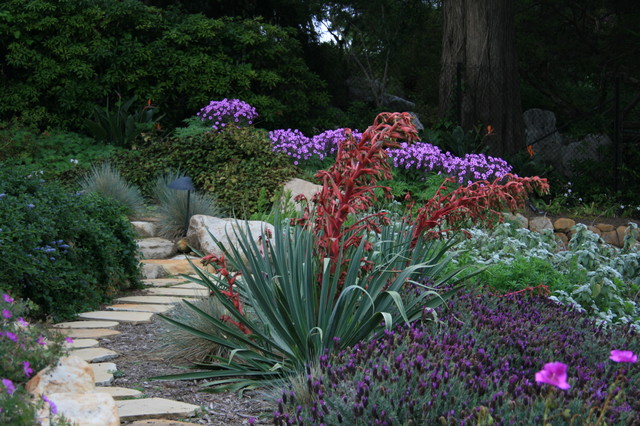 Pat Brodie Landscape Design Mediterranean Garden Santa