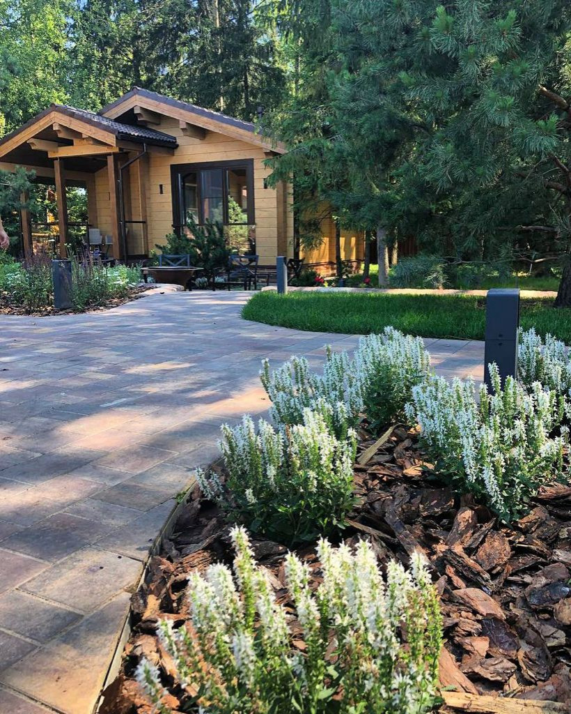 Александр и Ольга