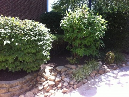 Photo of a mid-sized transitional full sun side yard landscaping for spring.