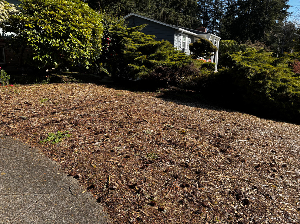 Photo of a rustic landscaping in Seattle.