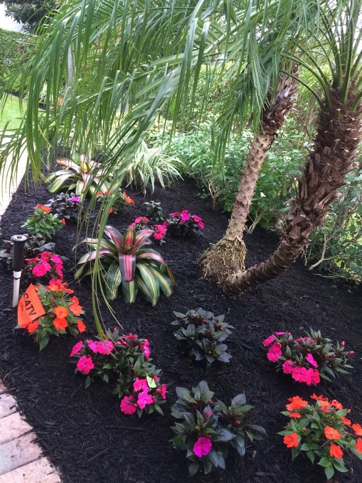 This is an example of a mid-sized full sun front yard mulch landscaping in Miami.