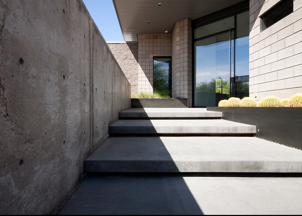 Inspiration for a modern entryway in Phoenix with concrete floors, a pivot front door and a metal front door.