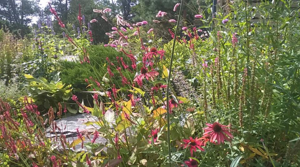 Сад натуралистического стиля