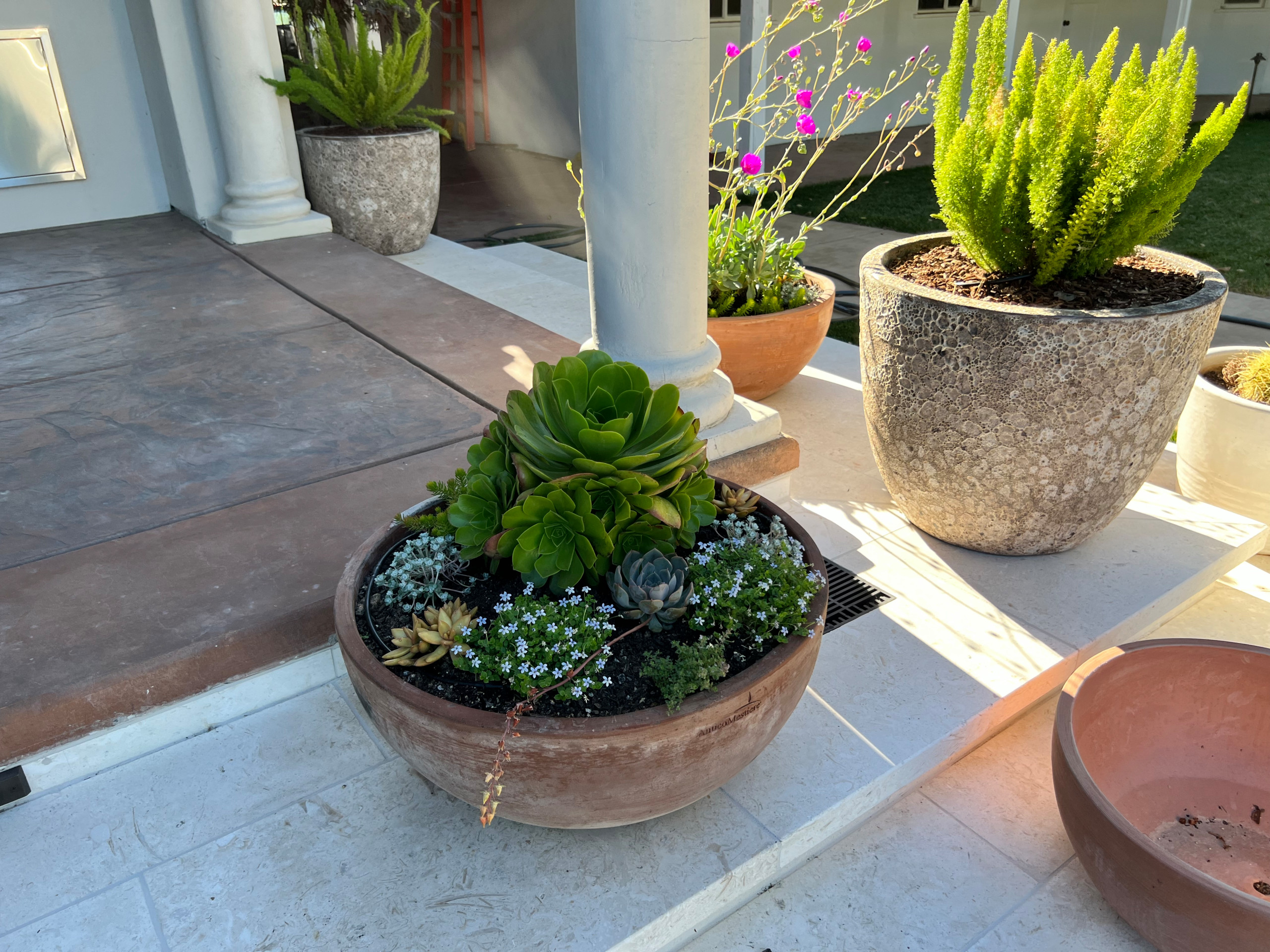 Carmichael Major Remodel