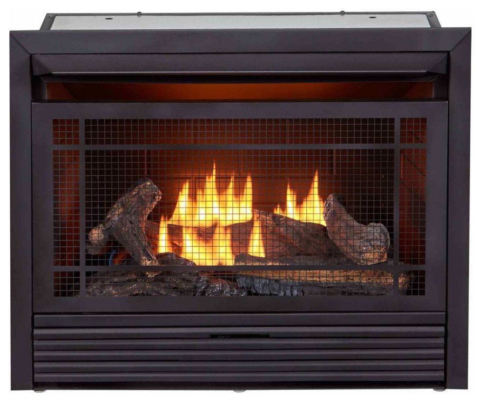Duluth Dual Fuel Ventless Gas Fireplace Insert 26,000 BTU, TStat Transitional