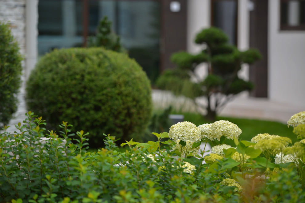 Зеленая геометрия