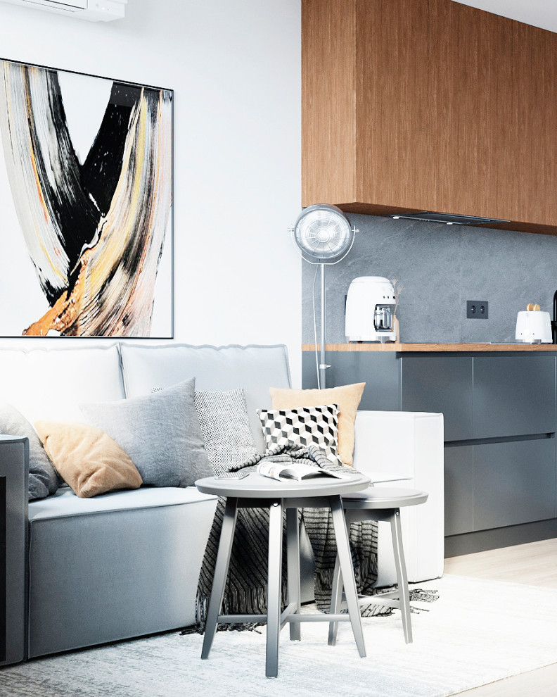 Студия 23м2 (Лофт)