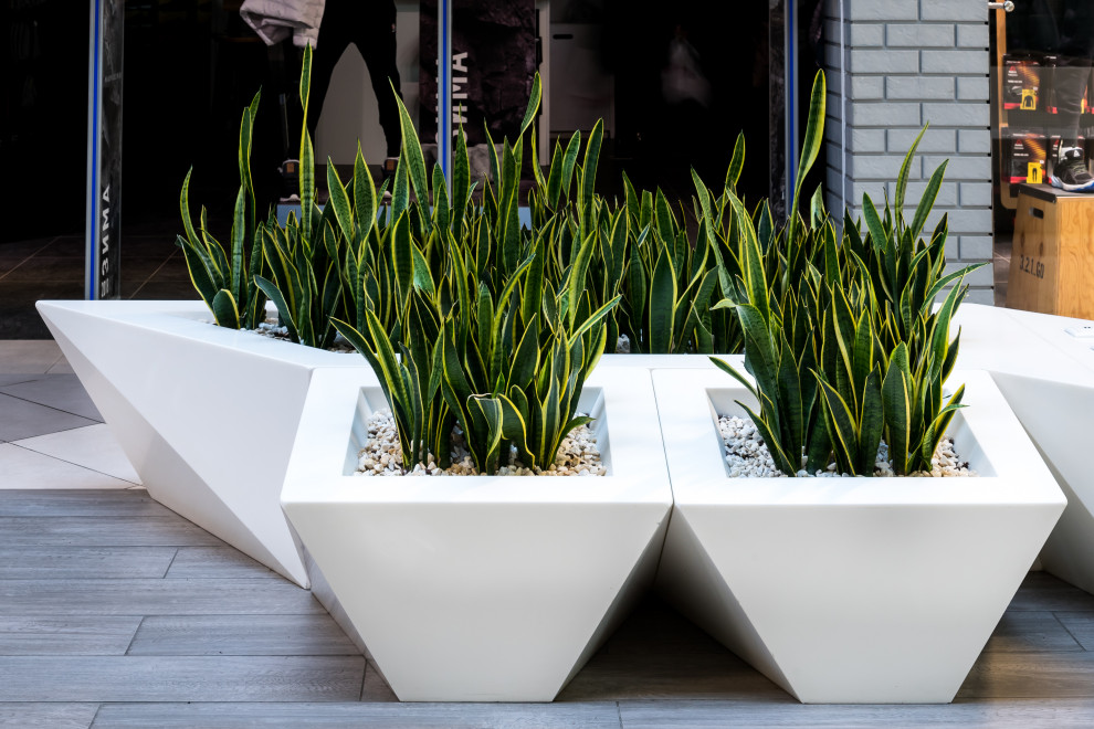 Мега Казань