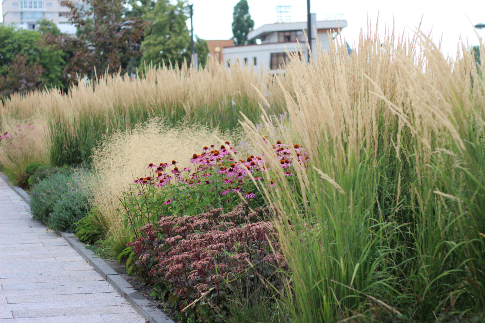 Цветники Советской площади