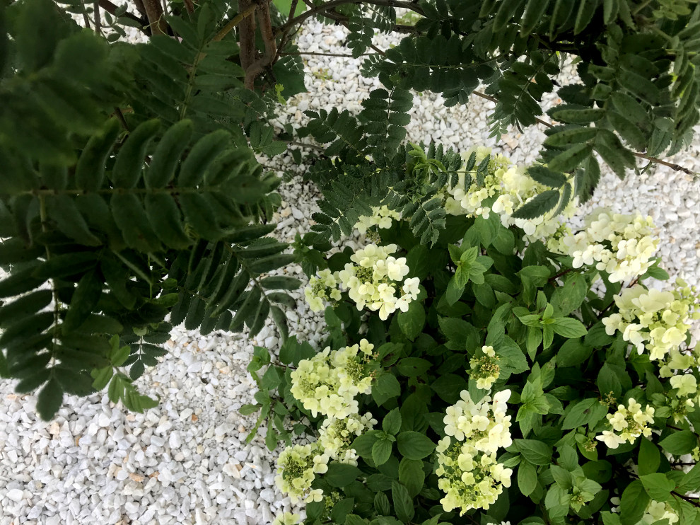 КП Лисавино