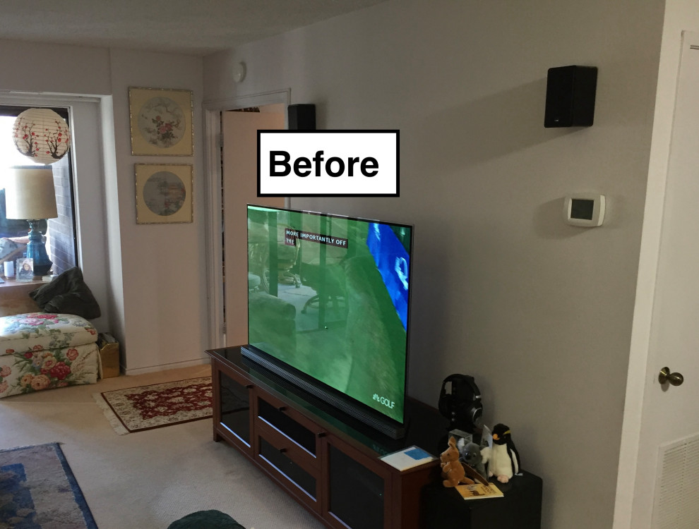 Rosslyn High-Rise Condo Total Remodel