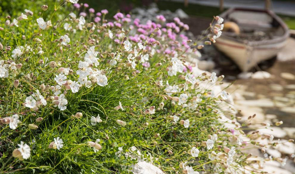 Esempio di un giardino stile marinaro