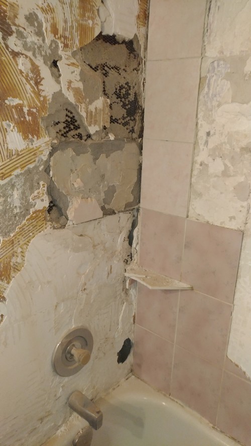 Waterproofing Redguard After Drywall Compound Applied Thanks Denis
