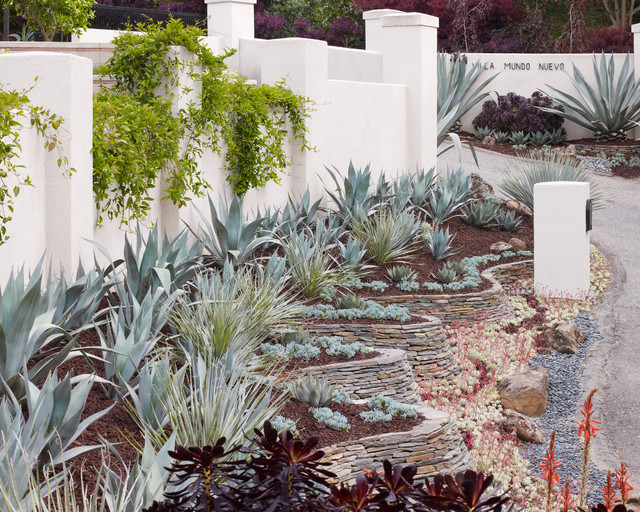 Contemporary Landscape modern-garten