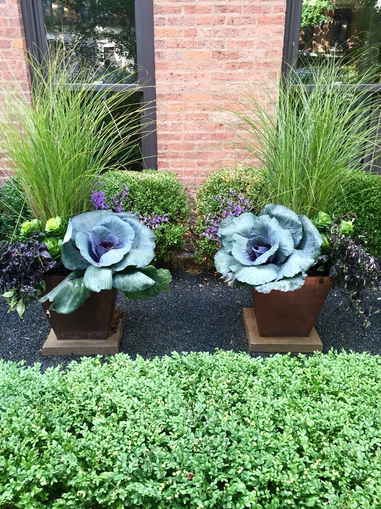 Inspiration for a transitional front yard gravel formal garden in Chicago for fall.