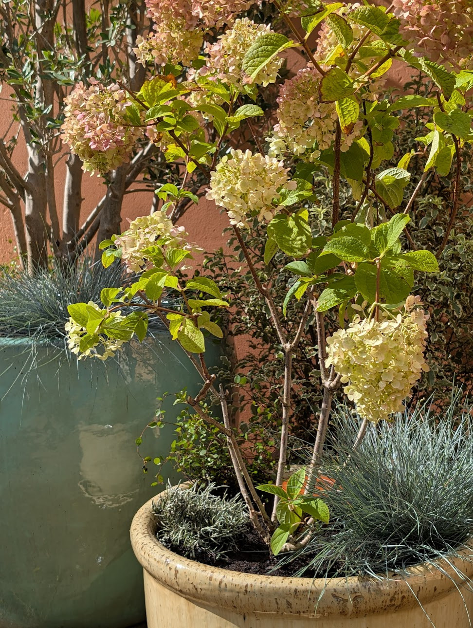 Une palette végétale pleine de surprises