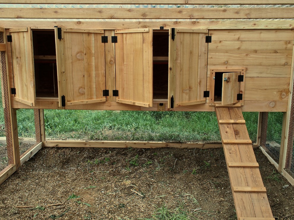 Modern Chicken Coop Modern Denver by rossmönster designs