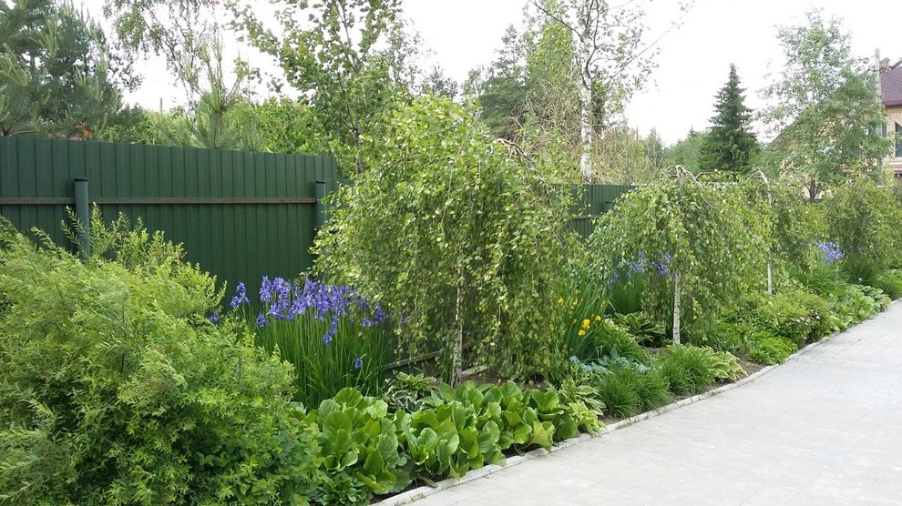 Сад  на холмах