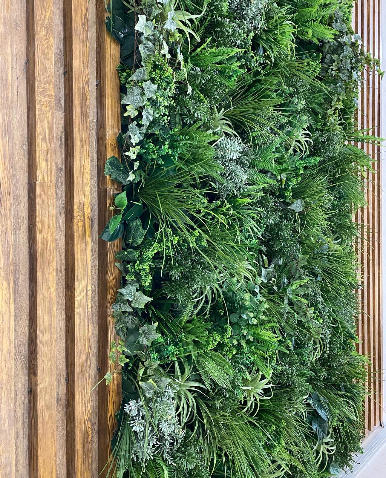 Стабилизированные и искусственные растения