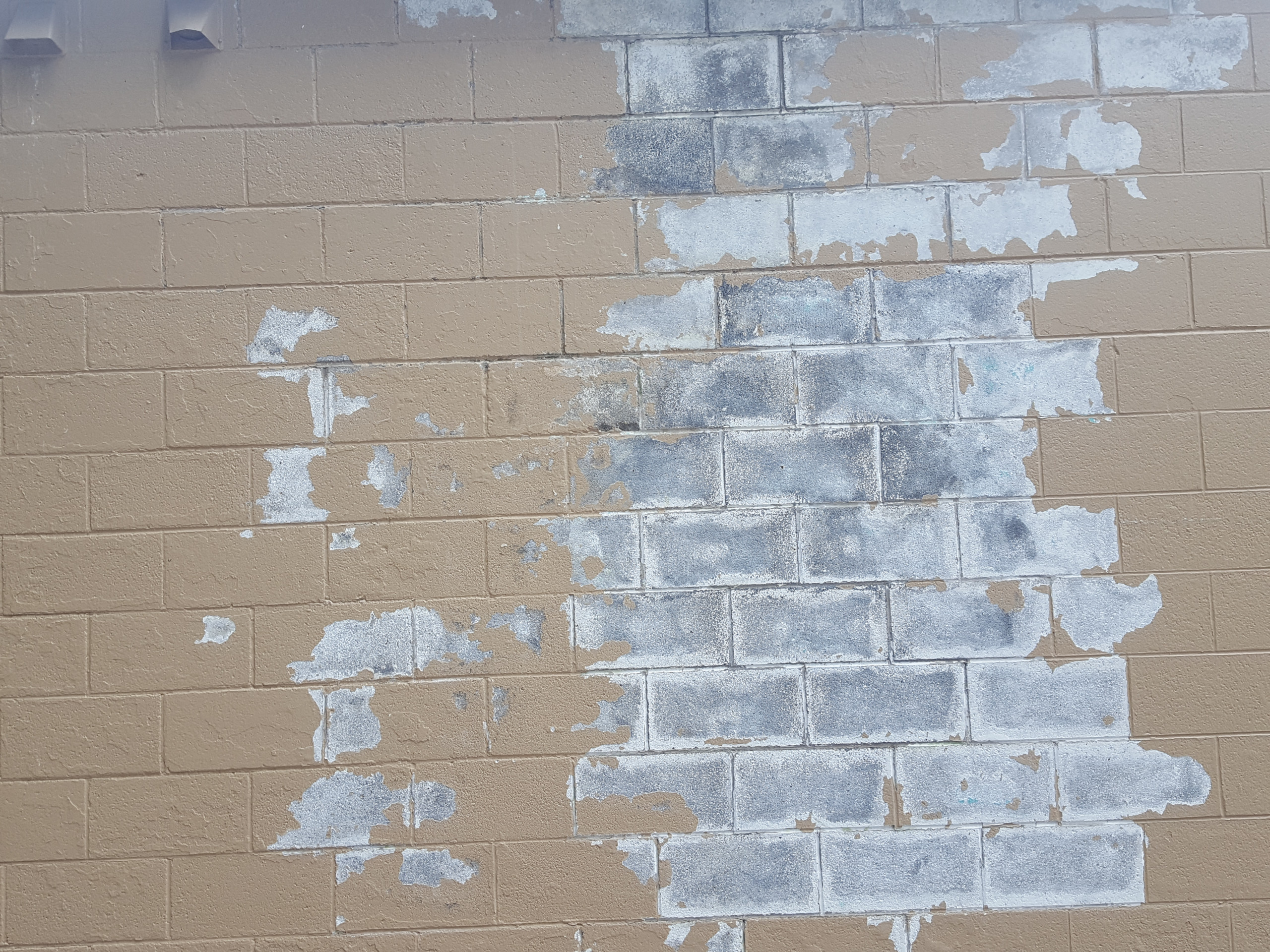Exterior Painting/Staining Projects