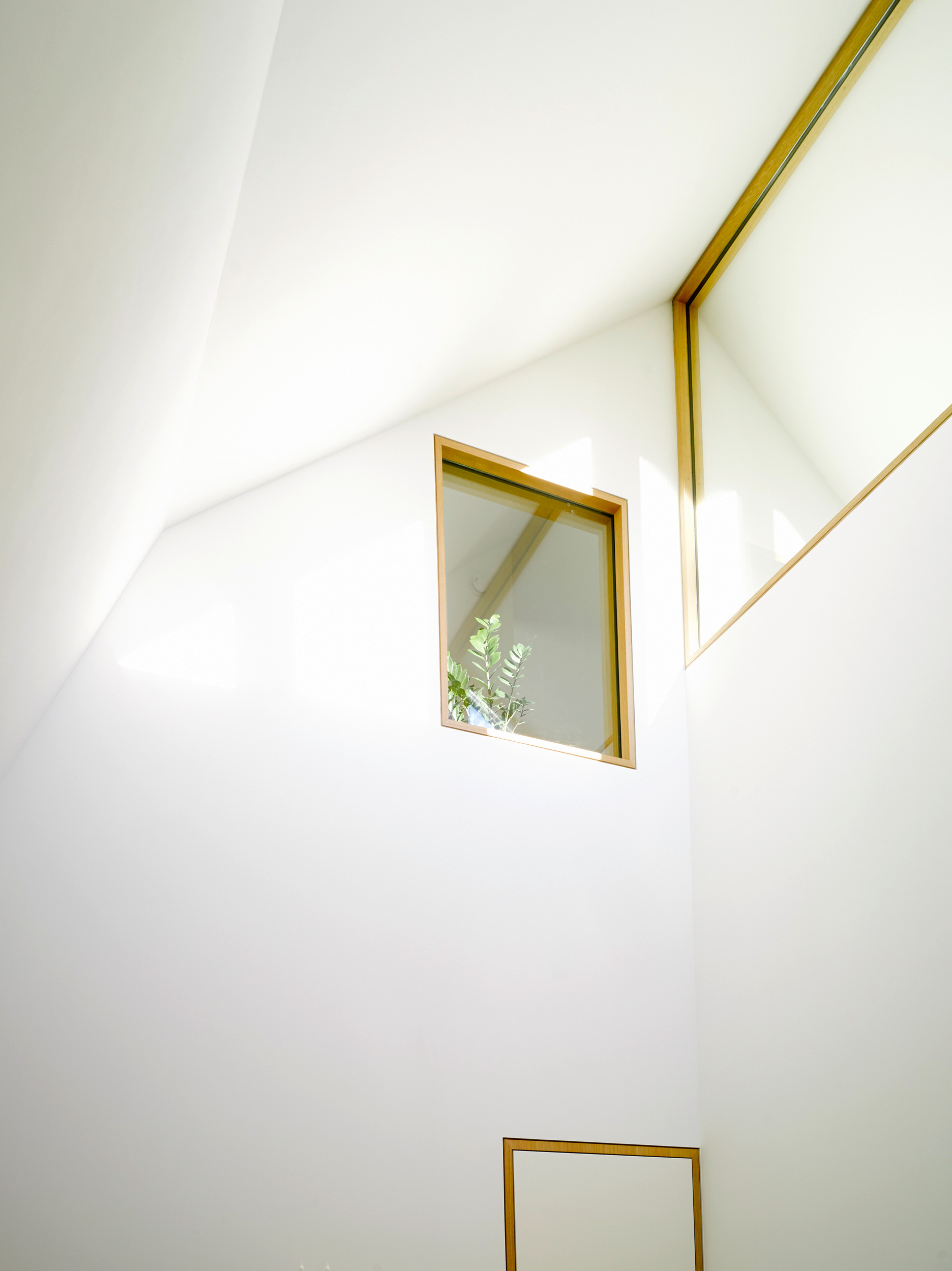 S82 - ein modernes Baumhaus