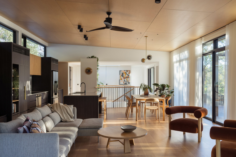 Inspiration for a large contemporary open concept living room in Sydney with light hardwood floors, a concealed tv and timber.