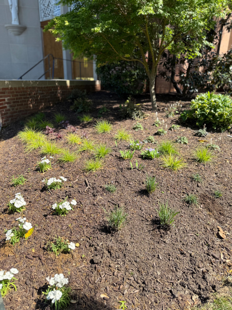 Native plants