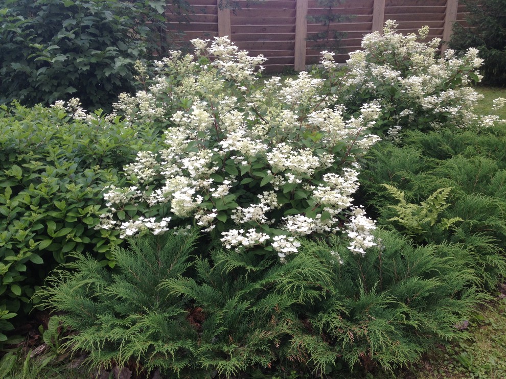 Лесная жизнь