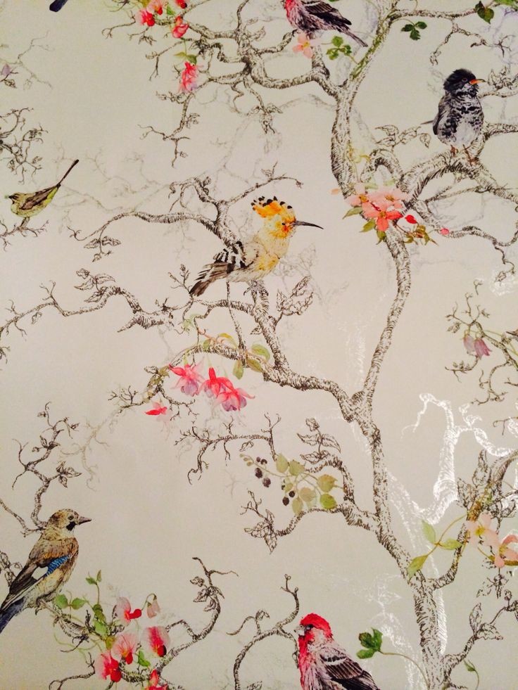 Dressing Room wallpaper ideas Houzz IE